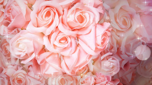4k粉色玫瑰婚礼花朵唯美舞台背景20秒视频