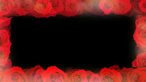 4k玫瑰花爱情唯美边框16秒视频