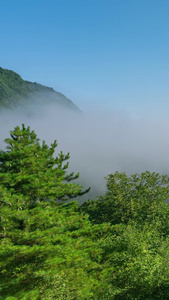 秦岭太白县云海 太白山旅游景区视频