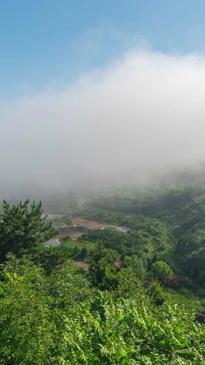 秦岭太白县云海 太白山旅游景区6秒视频