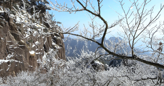 安徽黄山冬天雾凇美景 视频