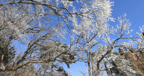 黄山雪景雾凇视频