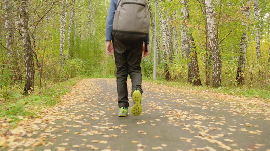 在森林中行走的背着背包的男孩视频
