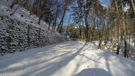冬季道路穿过森林后摄像头视频