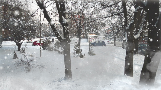 冬天有雪树前面还有烟雾污染视频