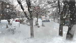 冬天有雪树前面还有烟雾污染19秒视频
