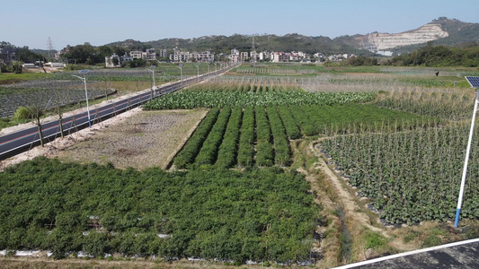 农村农业种植航拍视频