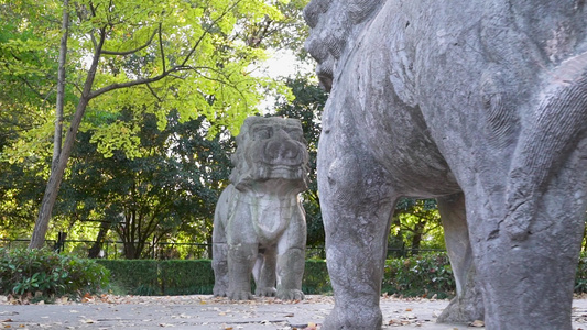 南京明孝陵风景区石象路狮子雕塑视频