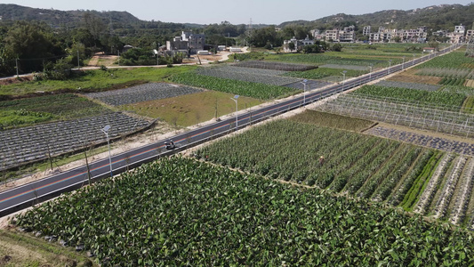 农村农业种植航拍视频