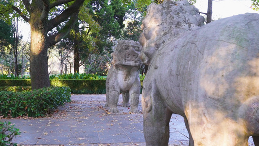 南京明孝陵风景区石象路狮子雕塑视频