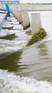 洪水引流河流涨水视频