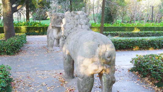 南京明孝陵风景区石象路狮子雕塑视频