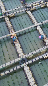 航拍海上渔民养殖基地捕捞海产渔业海鲜基地视频