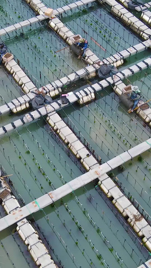 航拍海上渔民养殖基地捕捞海产渔业海上作业61秒视频
