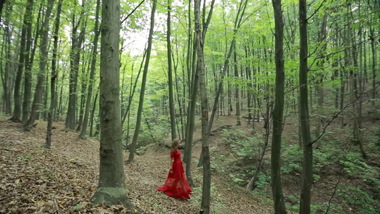 美丽的女孩在森林中行走视频