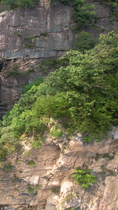 航拍5A南阳白云山九龙峡谷景观区驼峰瀑布视频旅游度假视频