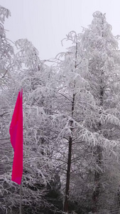 开车通过仙女山美丽雾凇雪景大道美丽的雪景视频
