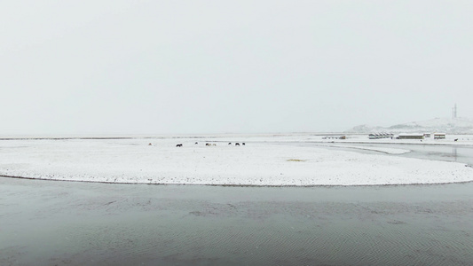 红原大草原月亮湾景区雪景航拍视频视频