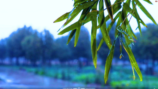 烟雨江南村庄[雨意]视频