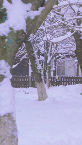寒潮大雪天气街上厚厚的积雪丛林小道视频