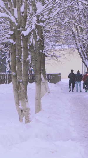 寒潮大雪天气街上厚厚的积雪丛林小道8秒视频