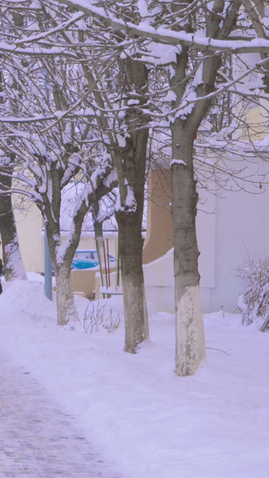 寒潮大雪天气街上厚厚的积雪茫茫一片8秒视频