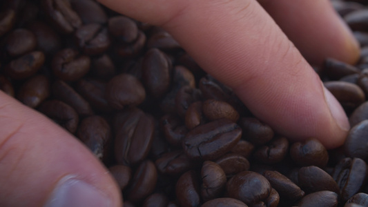 鼓动咖啡豆视频