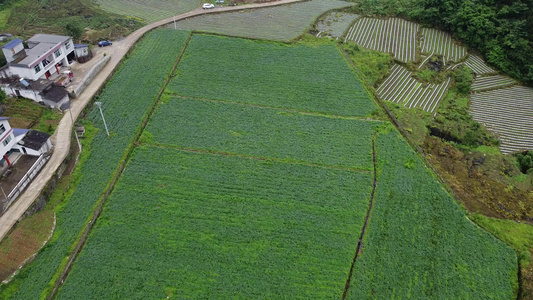 农业农村视频