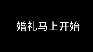 动感时尚婚礼快闪pr模板34秒视频