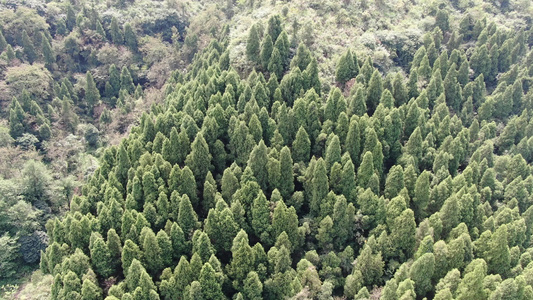 4K航拍大自然大山森林视频