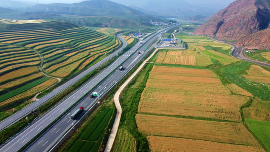 青海青稞田野公路初秋景色视频