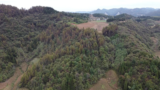 山水田园 [画境]视频