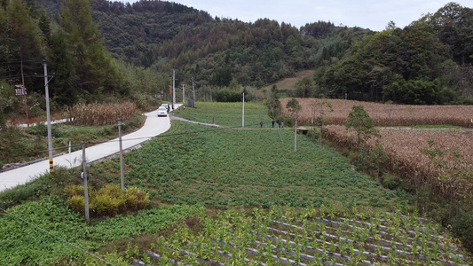 山水田园 视频