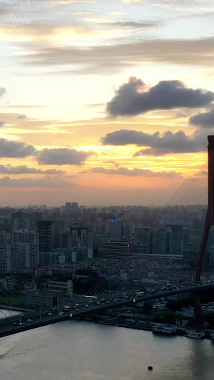 上海杨浦大桥日落航拍延时上海风景8秒视频
