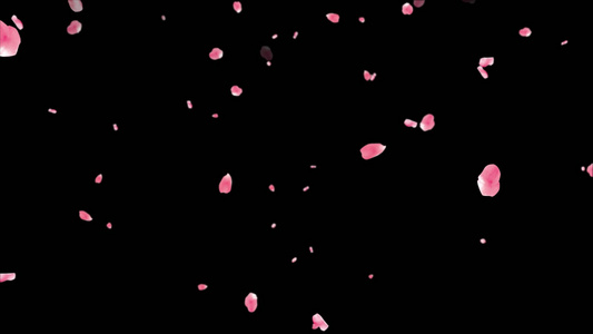 唯美粉色花瓣飘落 撒花背景视频视频