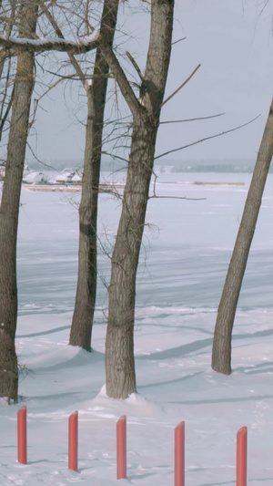寒冬冰雪天气雪地摩托驰骋14秒视频