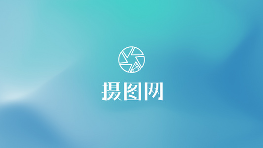 logo动画视频