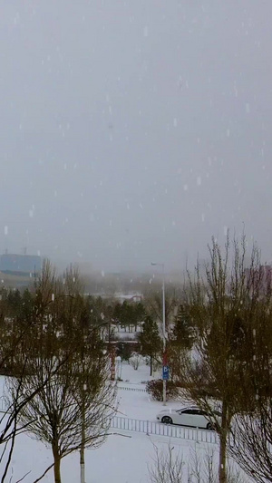 固定机位拍摄北方飘雪的城市街道天气变化60秒视频
