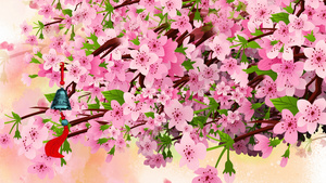 4K樱花盛开的季节背景素材76秒视频