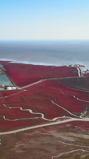 红海滩国家风景廊道5A级风景区40秒视频