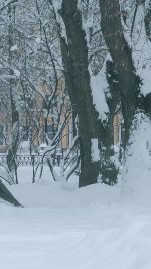 暴风雪后城市街道清晨积雪的人厚厚的积雪12秒视频