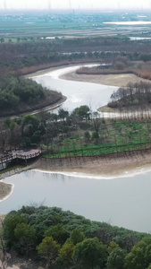 上海松江茂港湿地公园城市景观视频