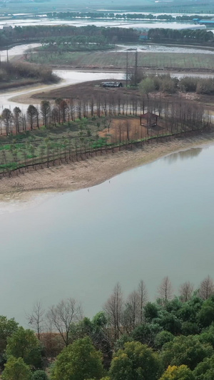 上海松江茂港湿地公园城市景观136秒视频
