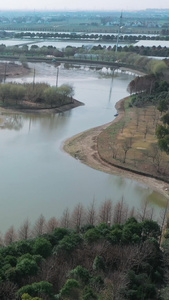 上海松江茂港湿地公园自然景观视频