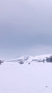新疆5A景区那拉提大草原雪景自然风光视频