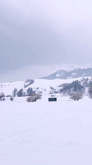 新疆5A景区那拉提大草原雪景自然美64秒视频