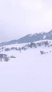 新疆5A景区那拉提大草原雪景自然风光视频