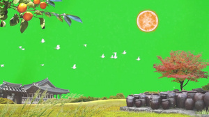 飞鸟古院美景绿幕视频素材58秒视频