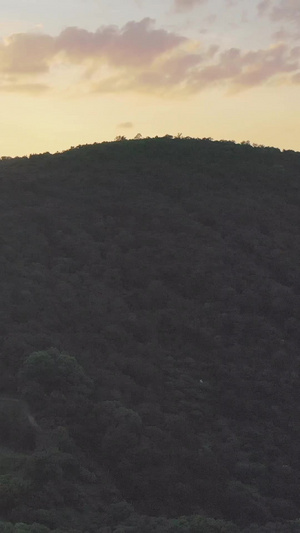 无锡灵山大佛航拍视频灵山景区37秒视频