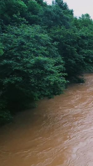 梅雨季夏季雷雨天气暴雨后江河涨水自然灾害洪峰过境航拍南方雨季59秒视频